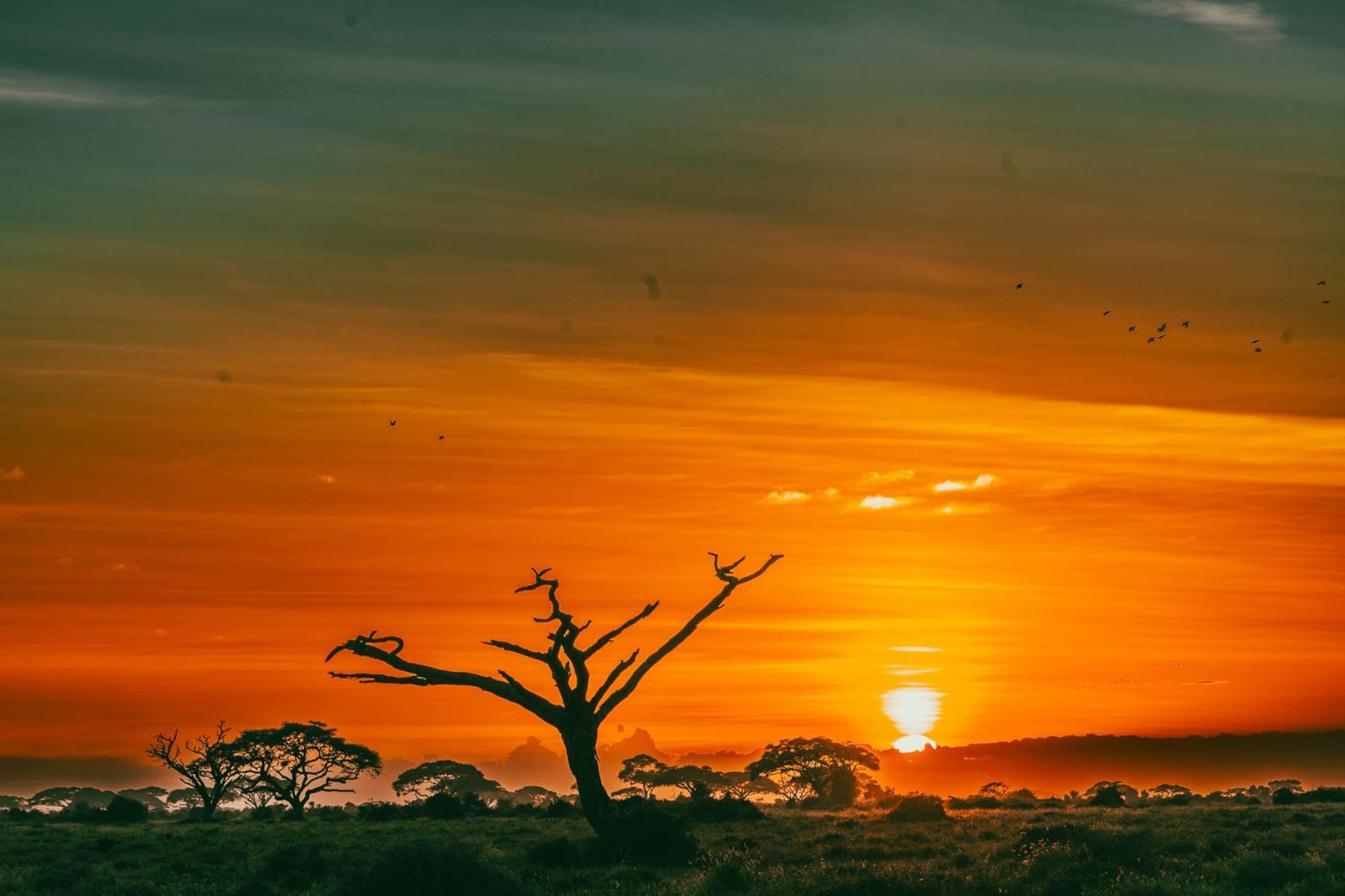 Amboseli Glass House Oloitokitok Bagian luar foto