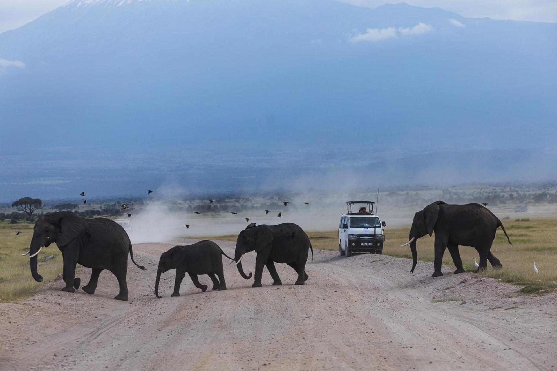 Amboseli Glass House Oloitokitok Bagian luar foto