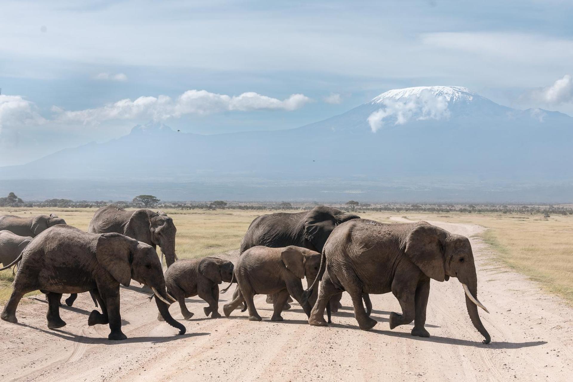 Amboseli Glass House Oloitokitok Bagian luar foto
