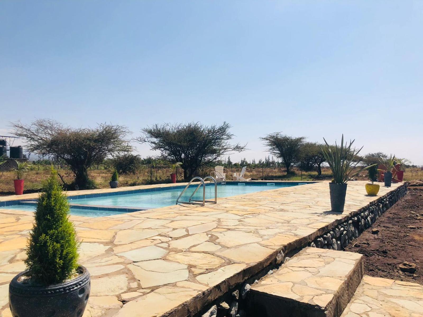 Amboseli Glass House Oloitokitok Bagian luar foto